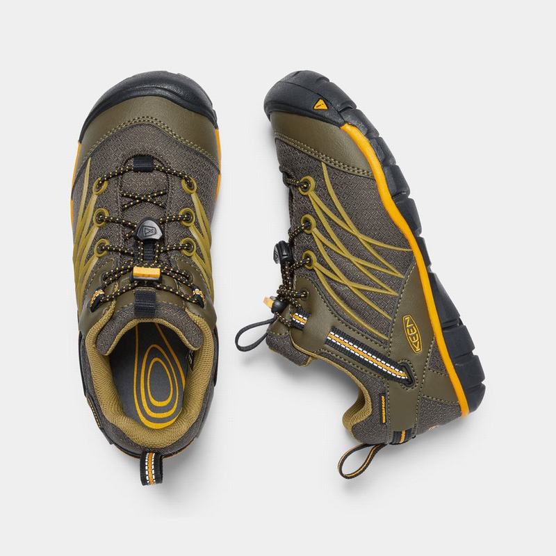 Keen Chandler Waterproof Cnx - Çocuk Trekking Ayakkabısı - Koyu Zeytin Yeşili - Türkiye (304157MUB)